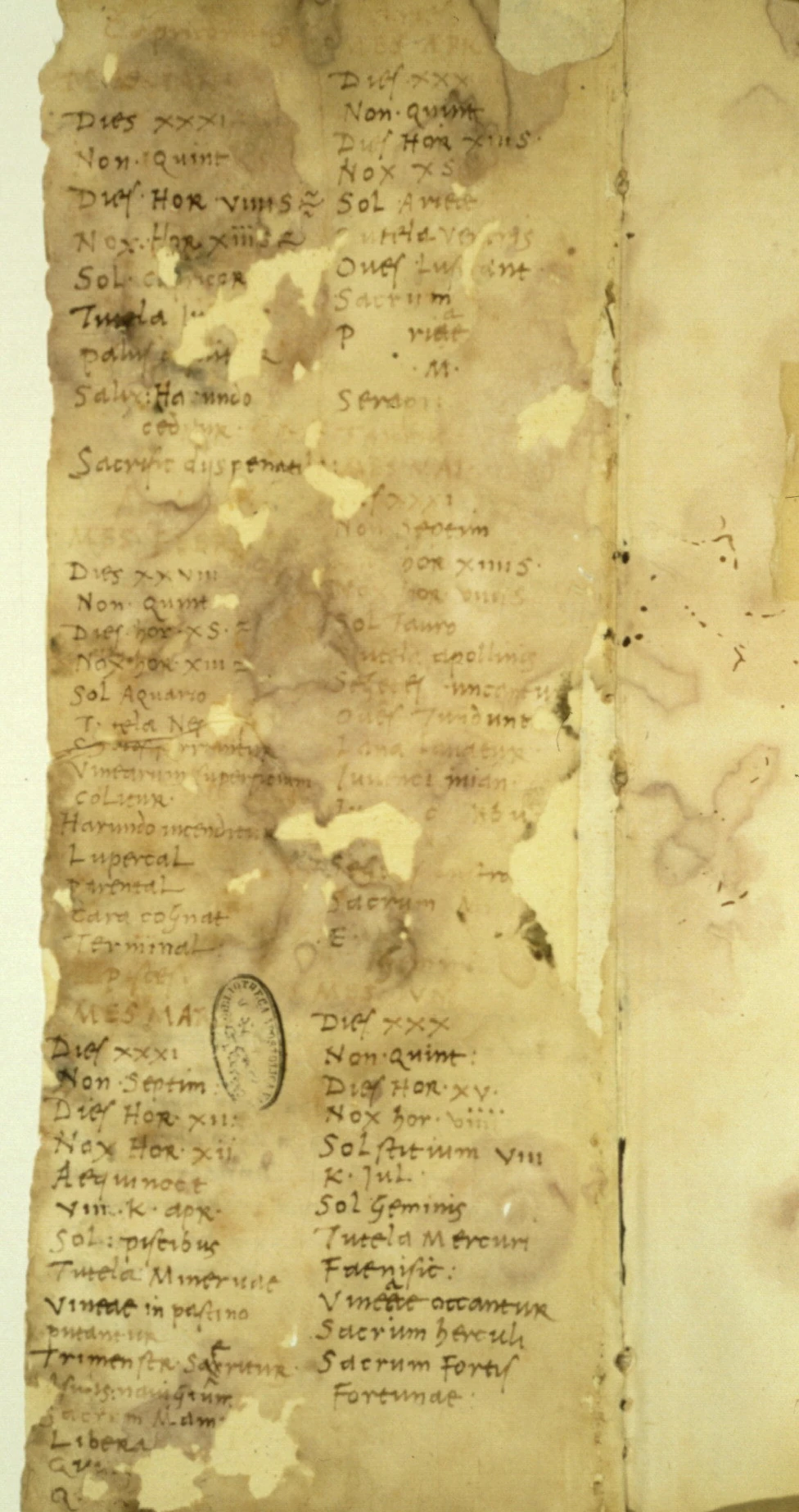 Помпонион Лето. Полевой дневник. 1485