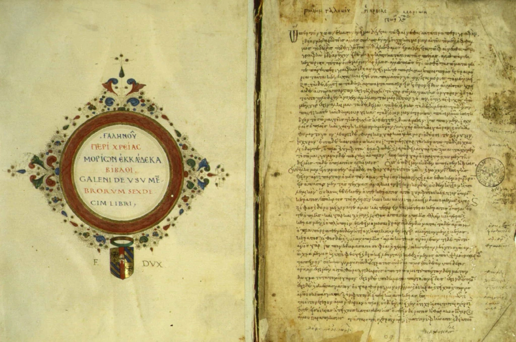 Гален. De usu partium. Ⅹ век