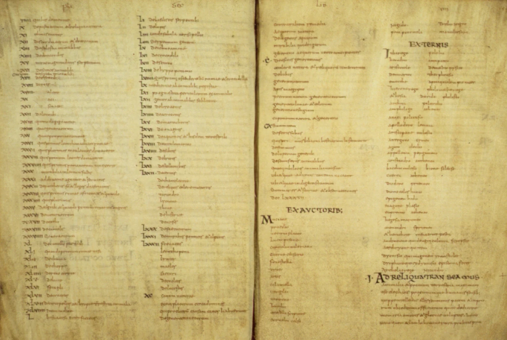 Плиний Старший. Naturalis historia. Ⅷ век