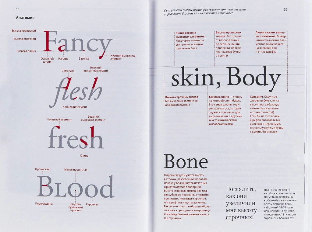 Классификация Эллен Лаптон