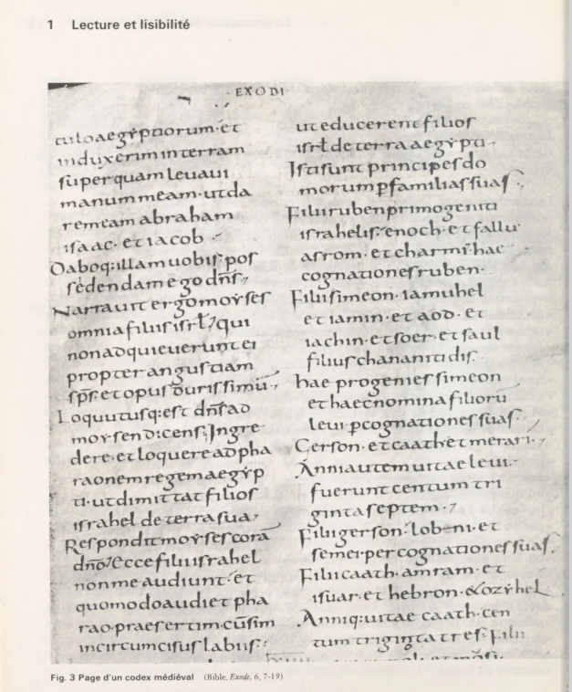 Классификация Франсуа Ришодо