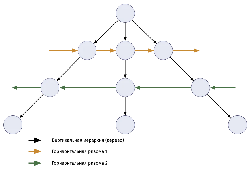 Симбиоз ризомы и иерархии