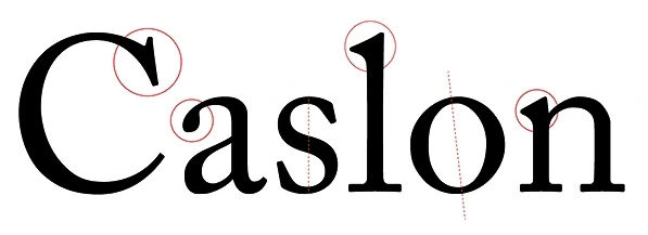 Отличительные черты