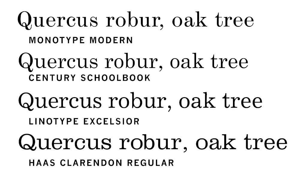 Шрифт Clarendon Modern